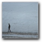 [Lake (wetness omitted)]