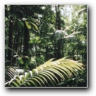 [Home of the Platypus]