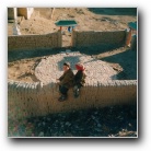 [Click to enlarge image]